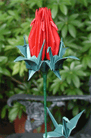 Exotic Origami Crane Rose