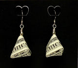 $1 Triangular Money Earrings