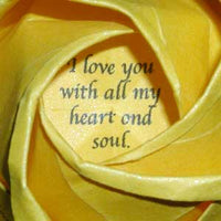 LA BELLA ROSA STANDARD MESSAGE ROSE