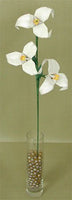 Lucky Iris Blossom