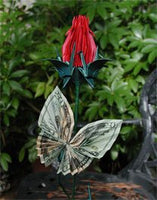 MONEY BUTTERFLY