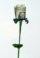 3 Standard Money Roses