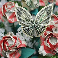 MONEY BUTTERFLY