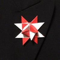 Paper German Star lapel pin